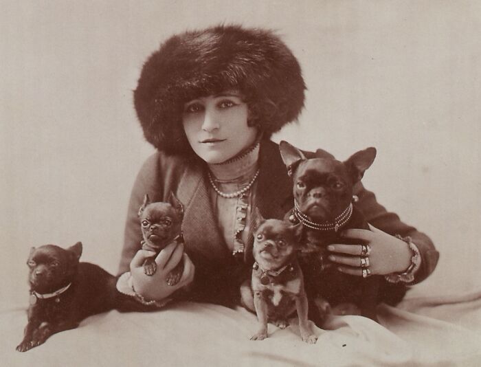 44 historical moments that show the unchanging bond between dogs and ...