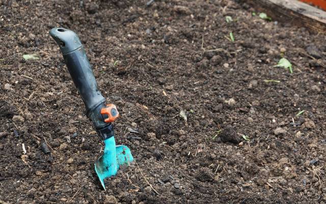 Homeowner shares before-and-after footage after turning dirt plot into ...