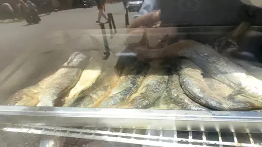 ملوحة الراية
