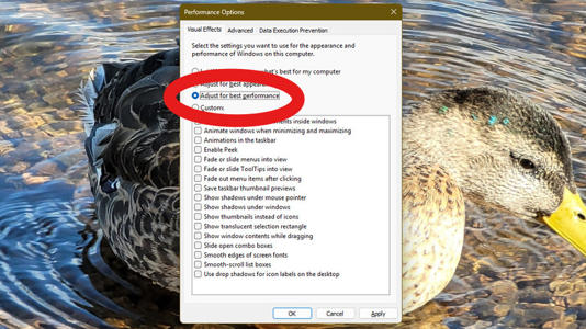 Performance options shown on Windows 11 desktop