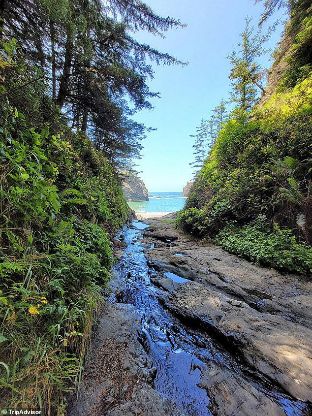 Gorgeously remote Oregon beach is named America's best place for a ...