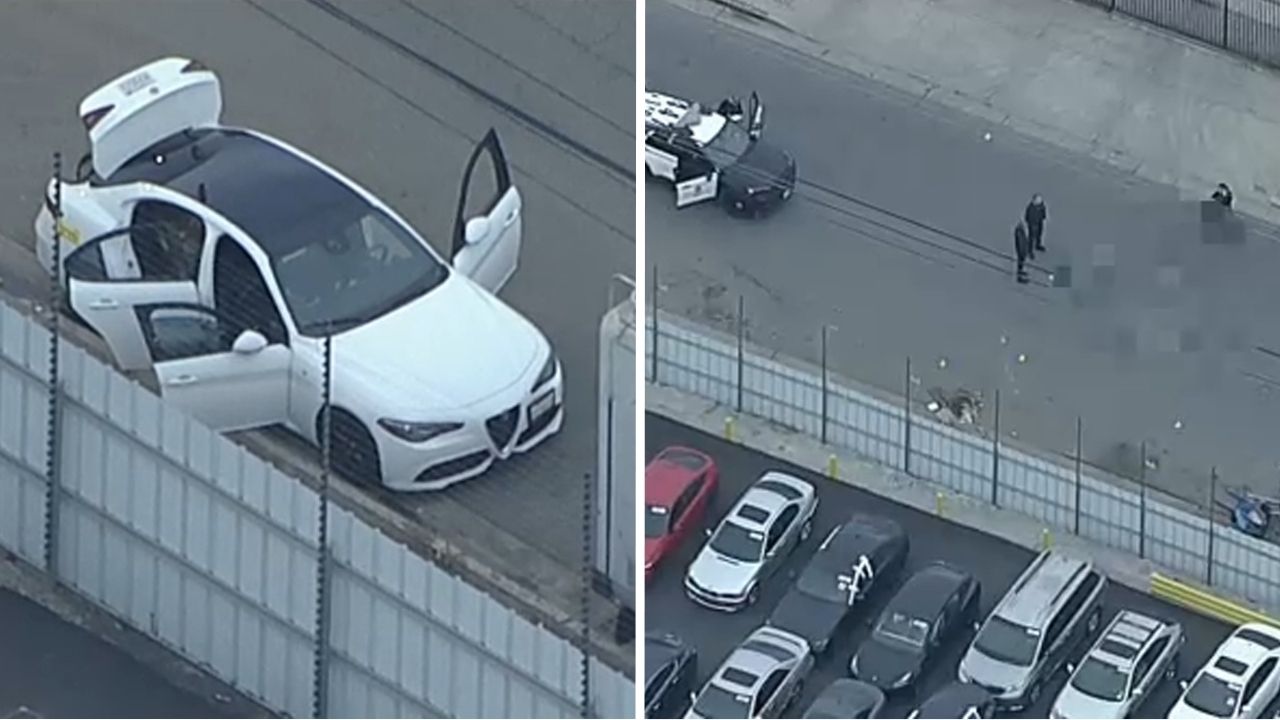 Bomb squad called after traffic stop in Sun Valley; police shoot, kill dog