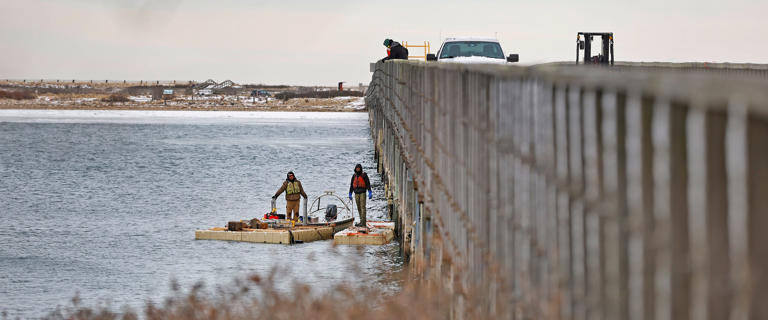 When the Powder Point Bridge in Duxbury will reopen to the public