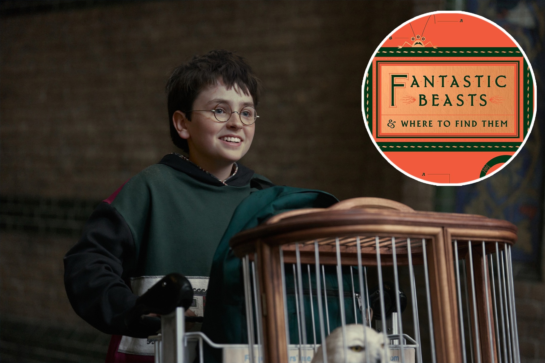 HBO Harry Potter show will feature flubberworms, fire crabs & creature ...