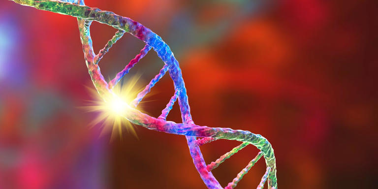 Scientists found ‘supergenes’ that turbo-charge evolution