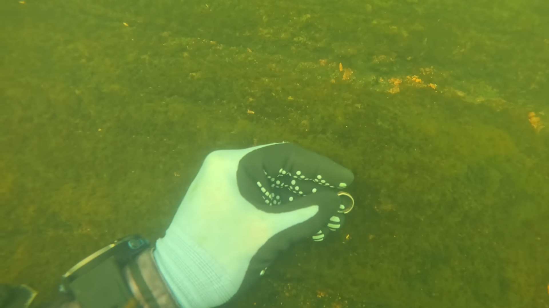 He found three rings in one river dive - one looked like it had diamonds