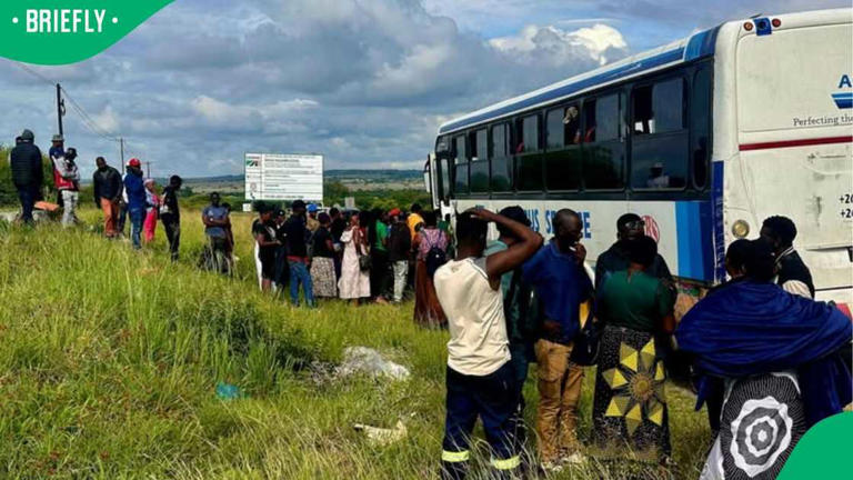 32 undocumented foreigners found aboard bus near Bloemfontein, SA ...