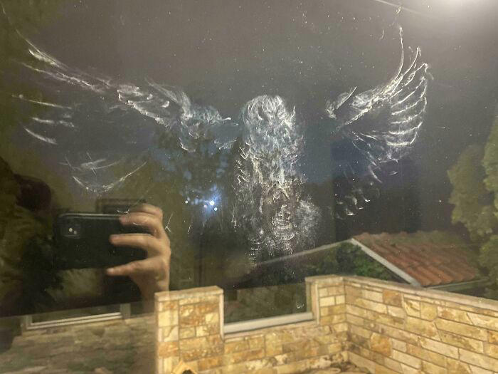 47 pics that are oddly interesting and mildly intriguing