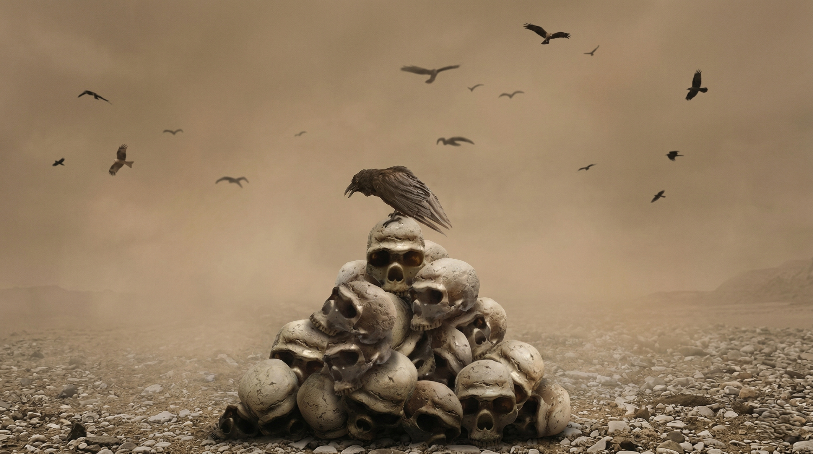 Watch what happens when a crow outsmarts predators
