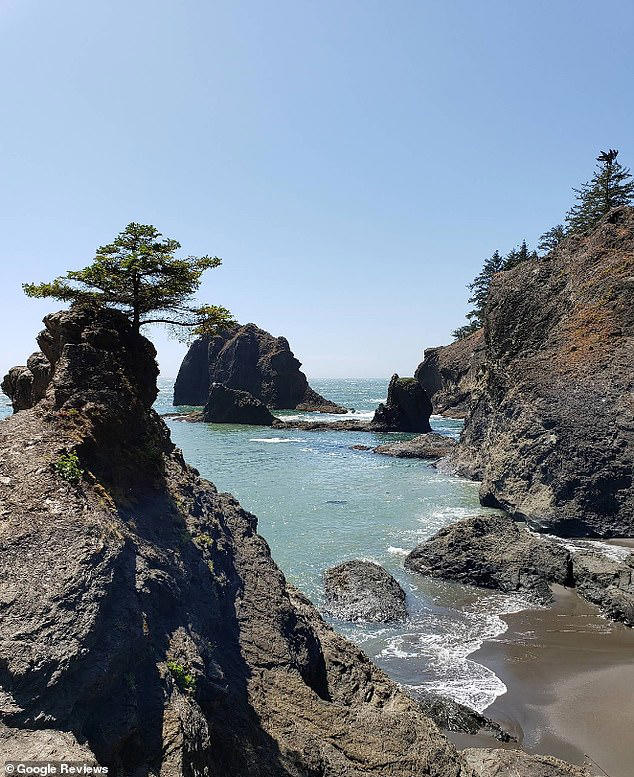 Gorgeously remote Oregon beach is named America's best place for a ...