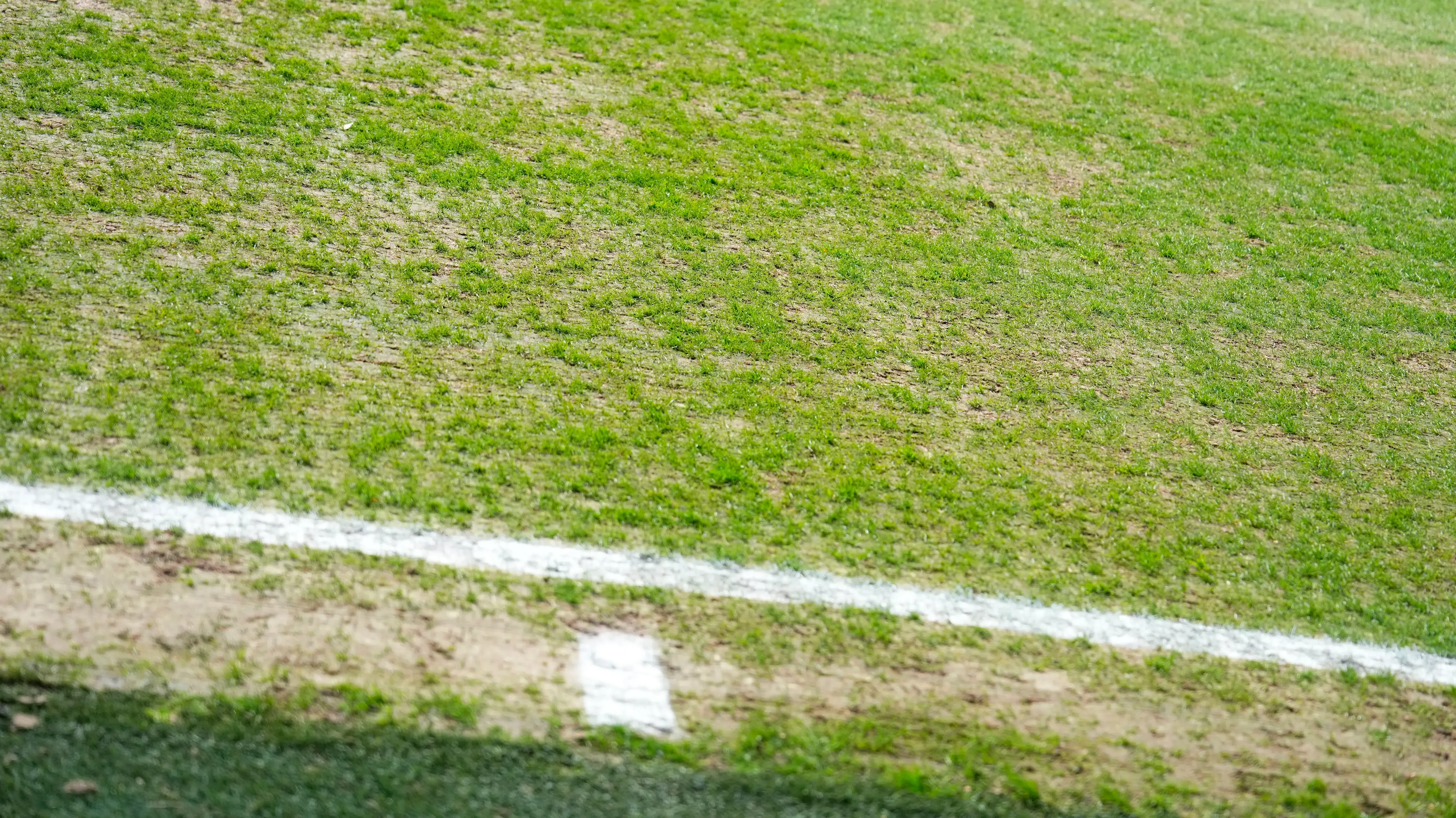 BT.s dom: Rystende syn – hvad foregår der?