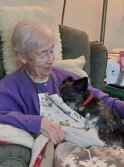 Donna di 89 anni ritrova la gioia adottando un cane anziano rimasto solo