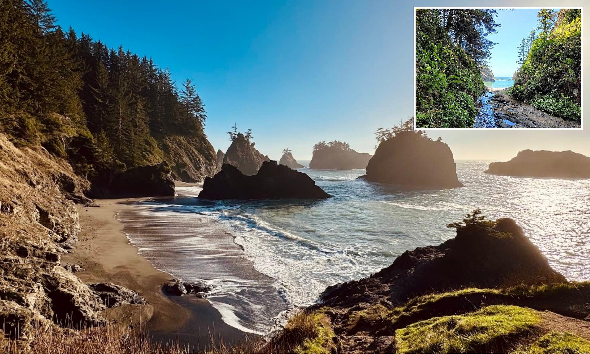 Gorgeously remote Oregon beach is named America's best place for a ...