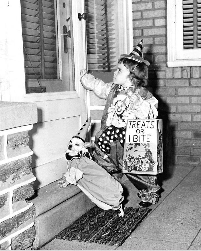 44 historical moments that show the unchanging bond between dogs and ...