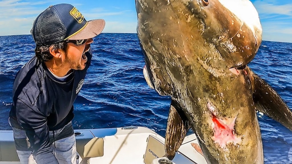 Watch what happens when they inspect the catch… and this happens