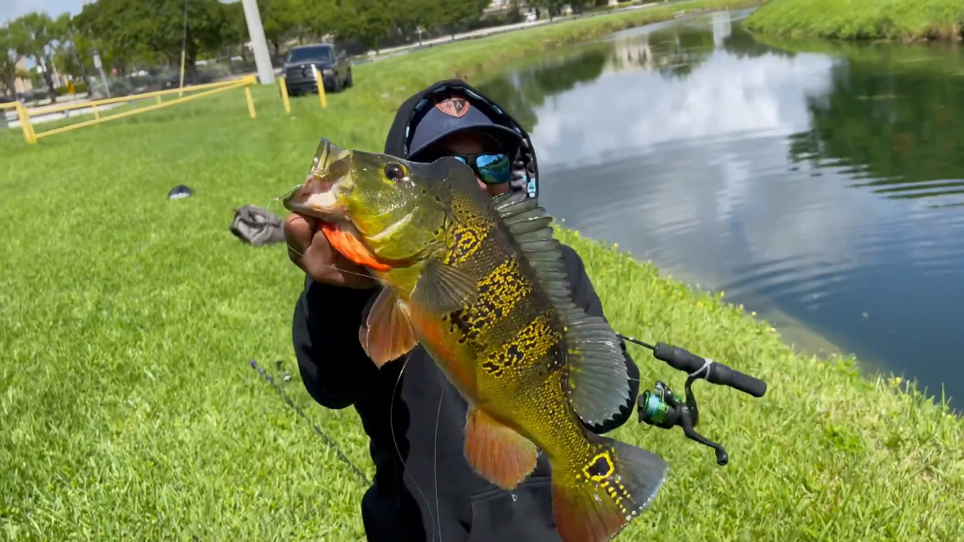 I hooked an 8 pound peacock on a 9 dollar rod