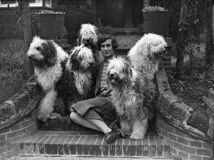 44 historical moments that show the unchanging bond between dogs and ...