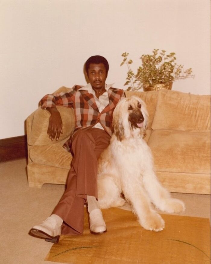 44 historical moments that show the unchanging bond between dogs and ...