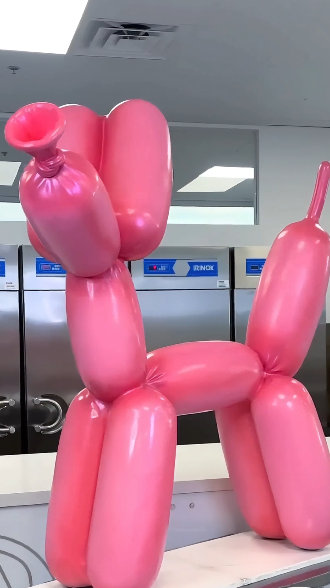 Gallery Detail: Chocolate Balloon Dog