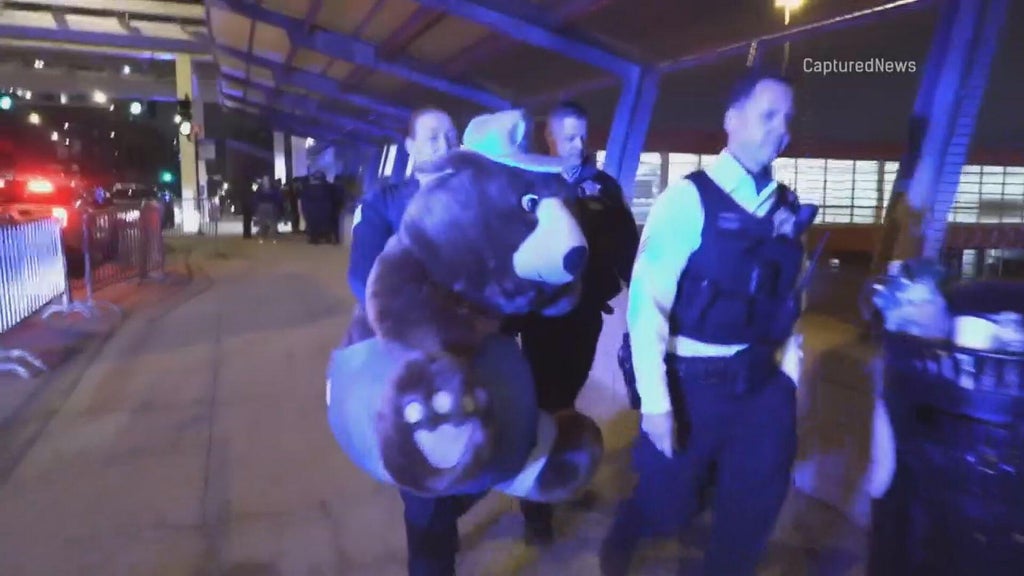 Chicago police find teddy bear stolen during downtown teen takeover