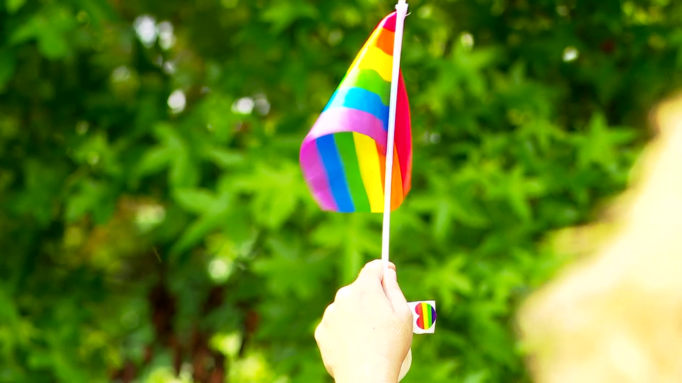 Greenville-Pitt County Pride Festival returns June 13 with art, music ...