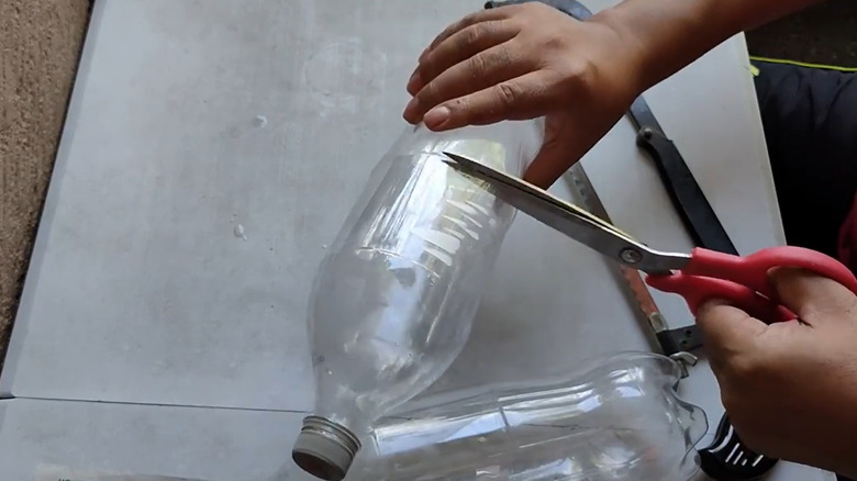 Turn an old plastic soda bottle into a stunning planter that looks so chic