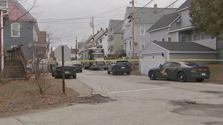 Curated visual reference: Visual Reference: Lady Screaming Neighbors Recount Second Deadly Officer Involved