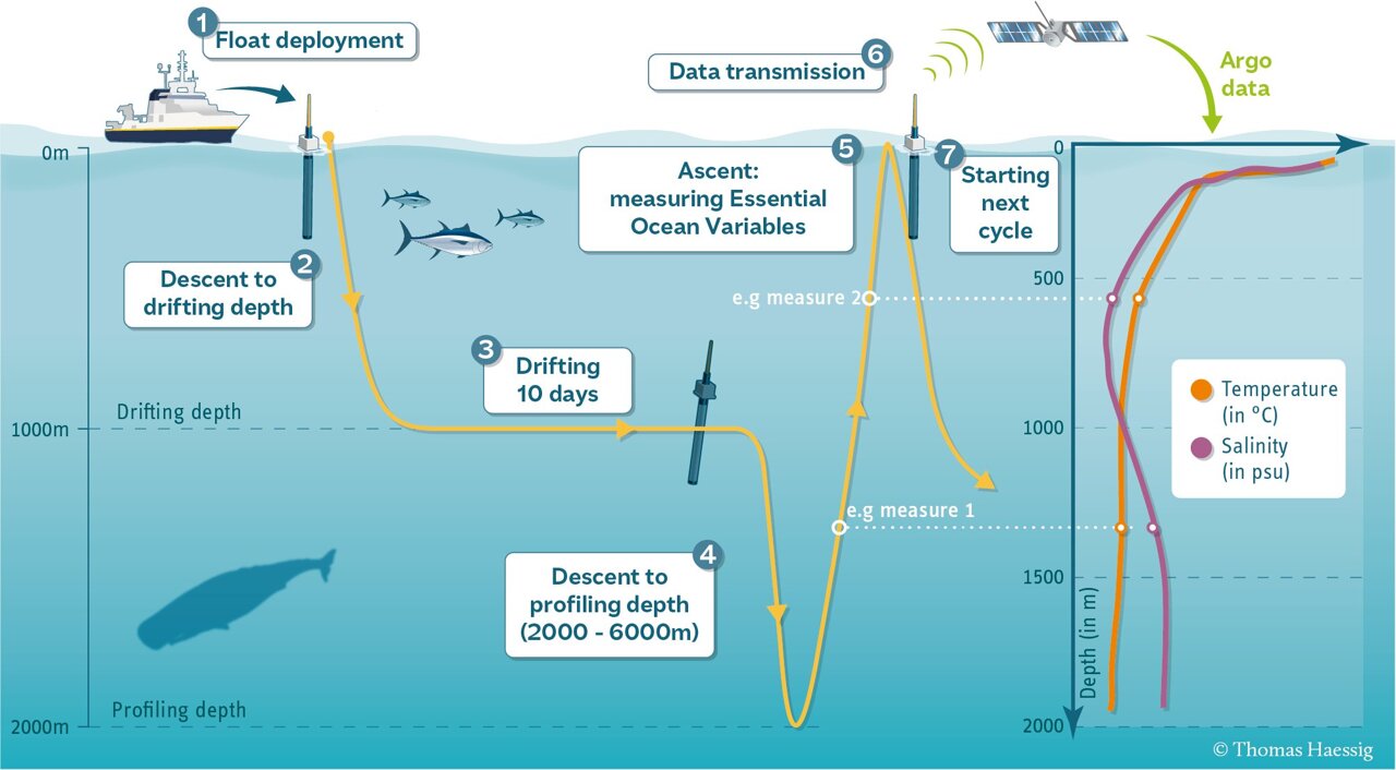 Robotic floats uncover hidden ocean chemistry in low-oxygen zones