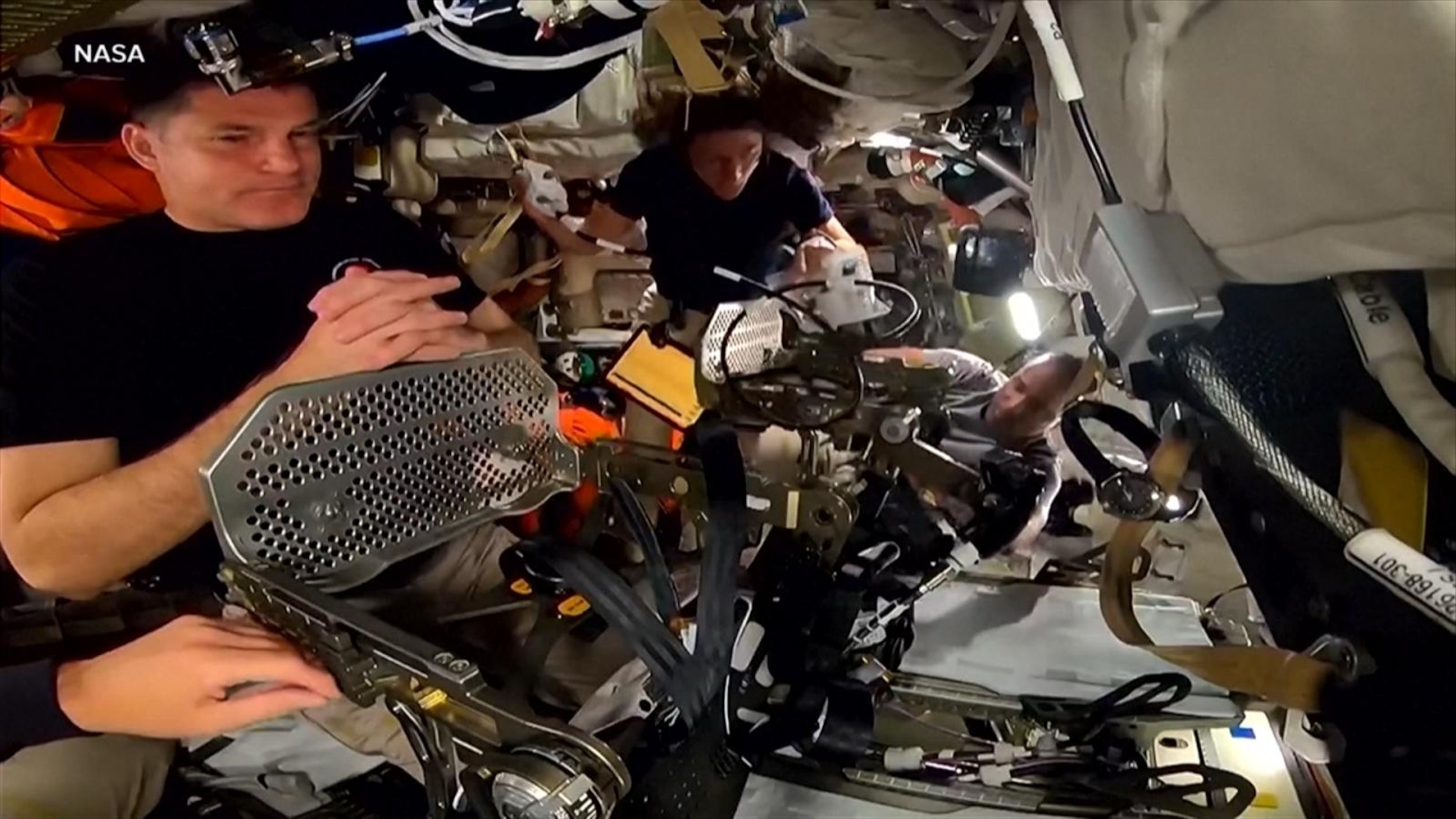 Spaceflight and the human body: What zero gravity does