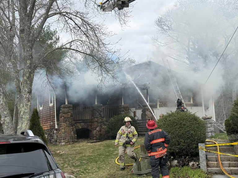 Two dogs dead in mass house fire