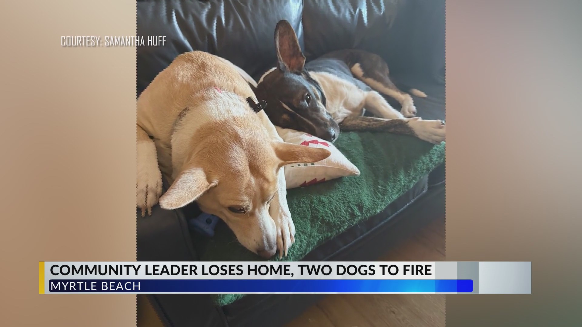 Horry County leader loses beloved dogs in fire that severely damaged home