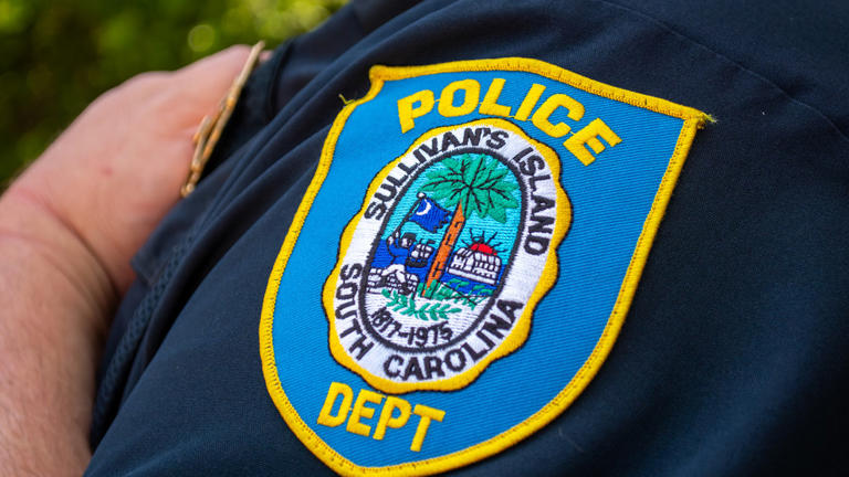 Two North Charleston men facing charges after fleeing traffic stop on ...