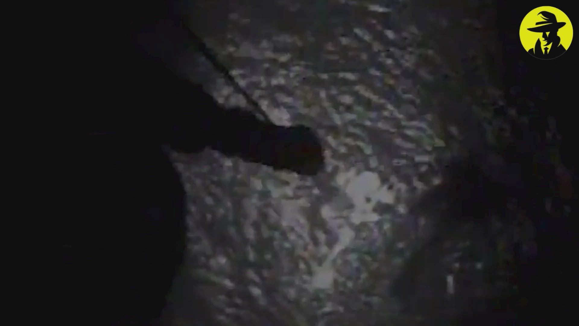 Dramatic ocean rescue as federal agents