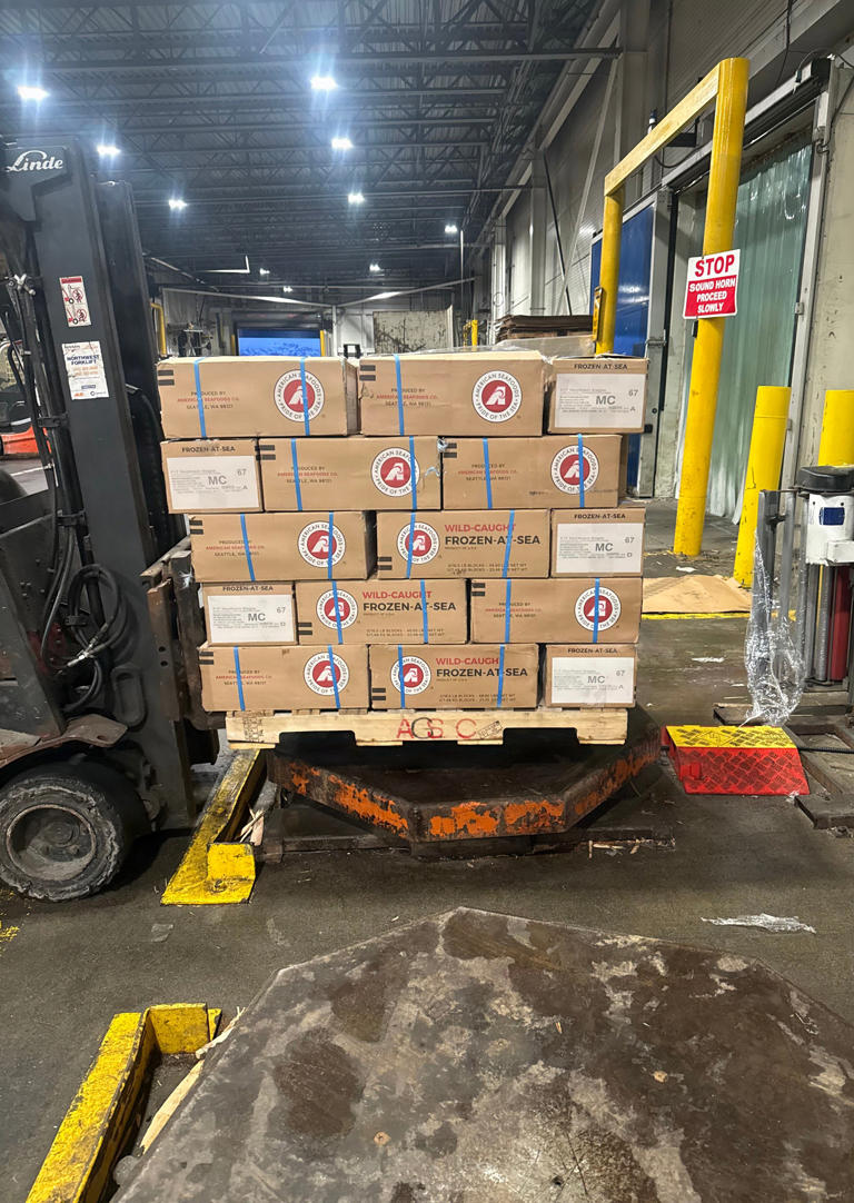 Over $65K worth of unreported fish eggs seized by authorities in Dutch ...