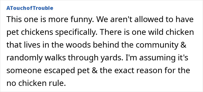 40 Homeowners Share The Most Unhinged HOA Rules They’ve Ever Encountered