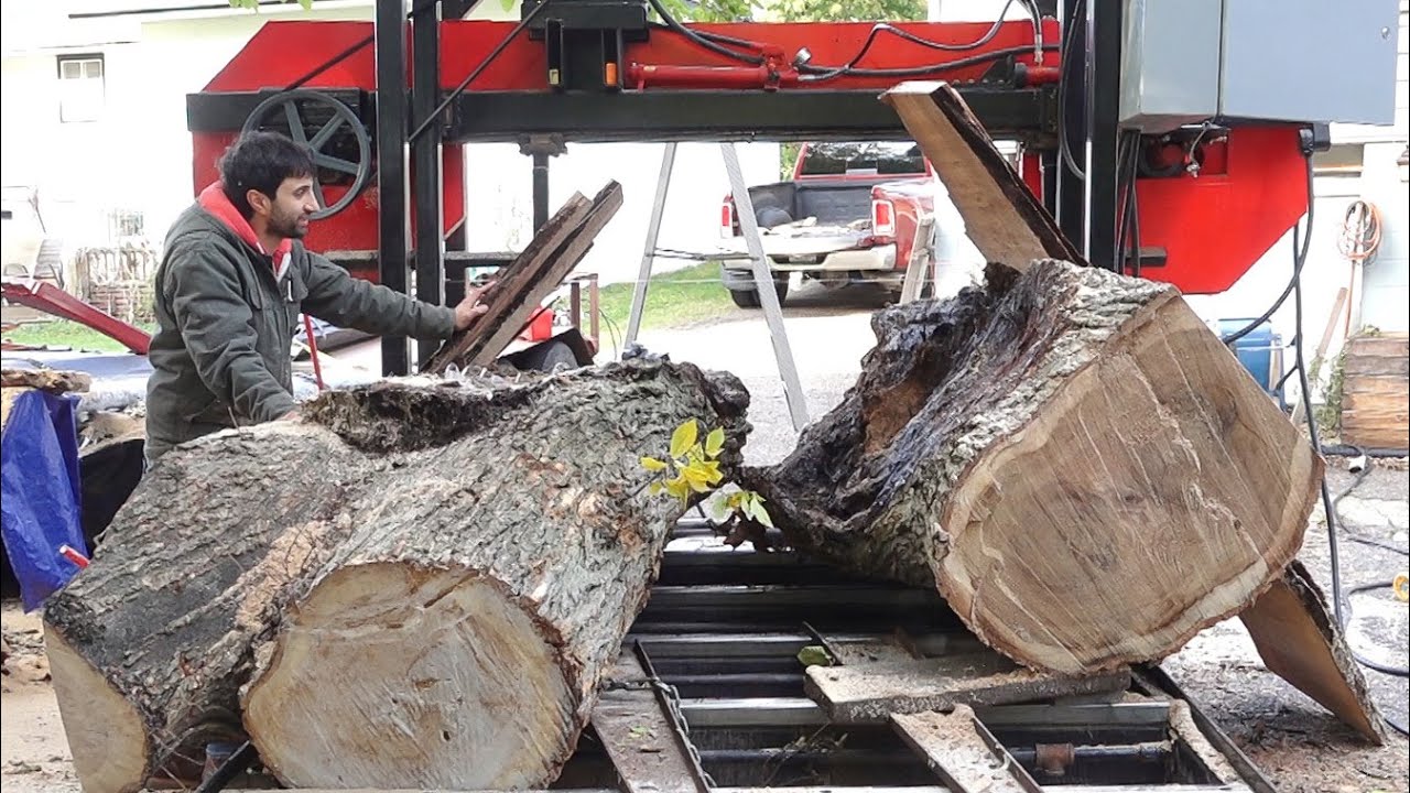 This log fell apart at my sawmill