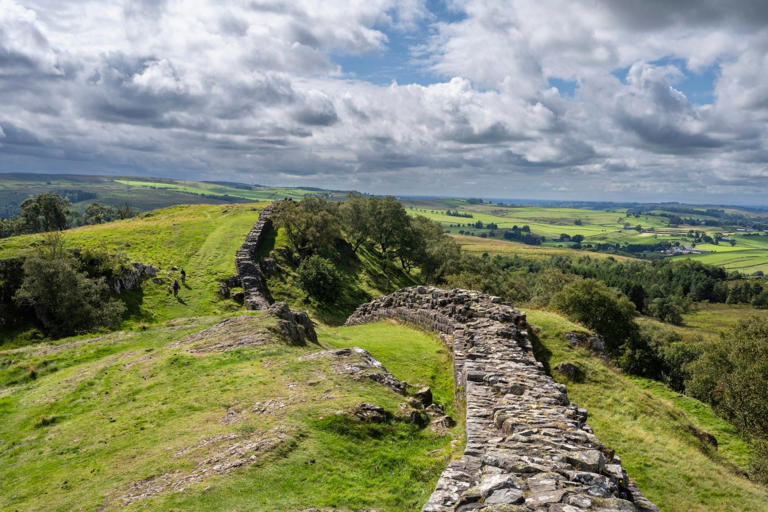 Hadrian’s Wall is becoming one long poo bin thanks to shameless dog owners