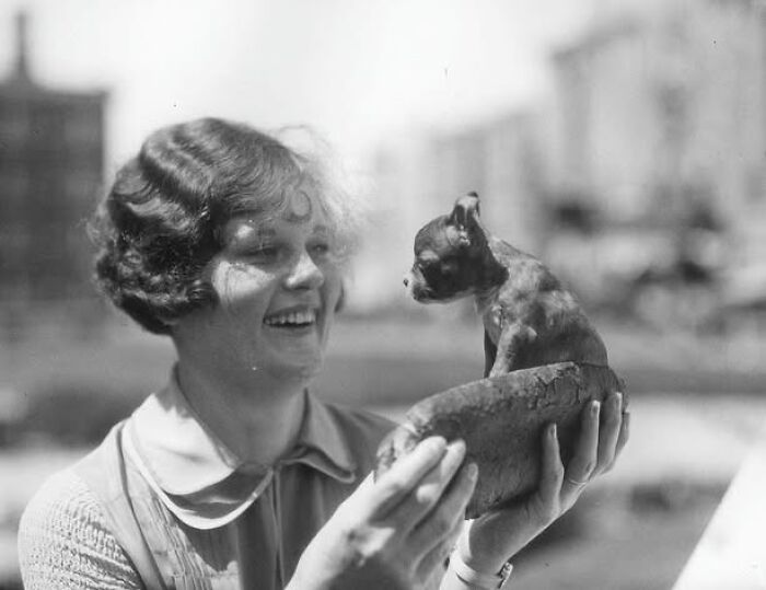 44 historical moments that show the unchanging bond between dogs and ...
