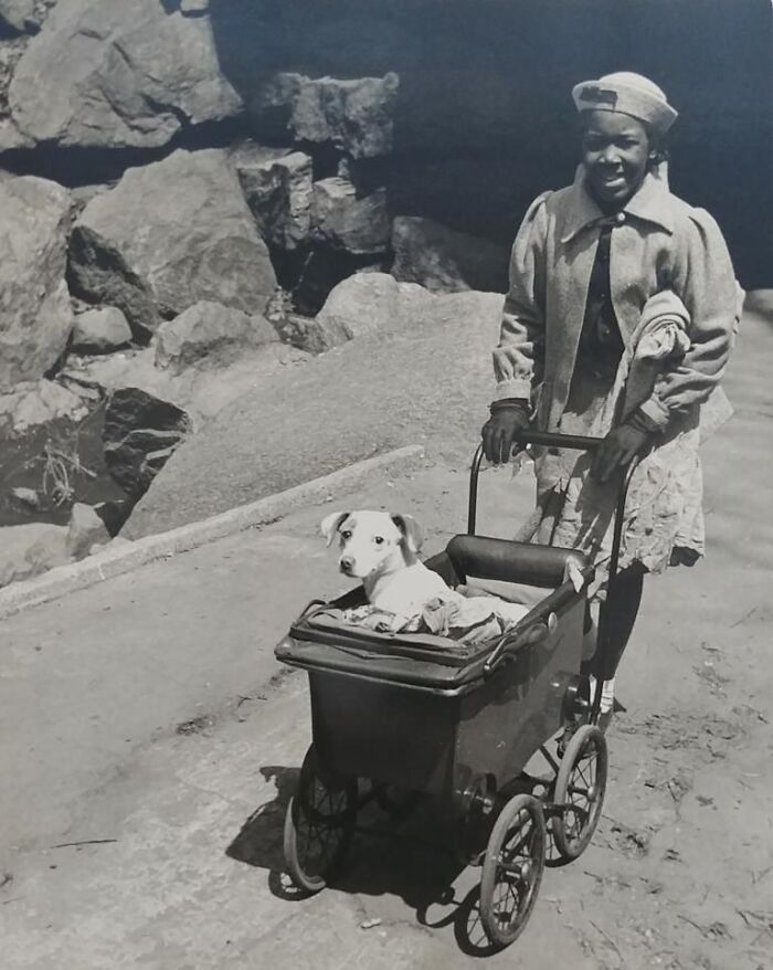 44 historical moments that show the unchanging bond between dogs and ...