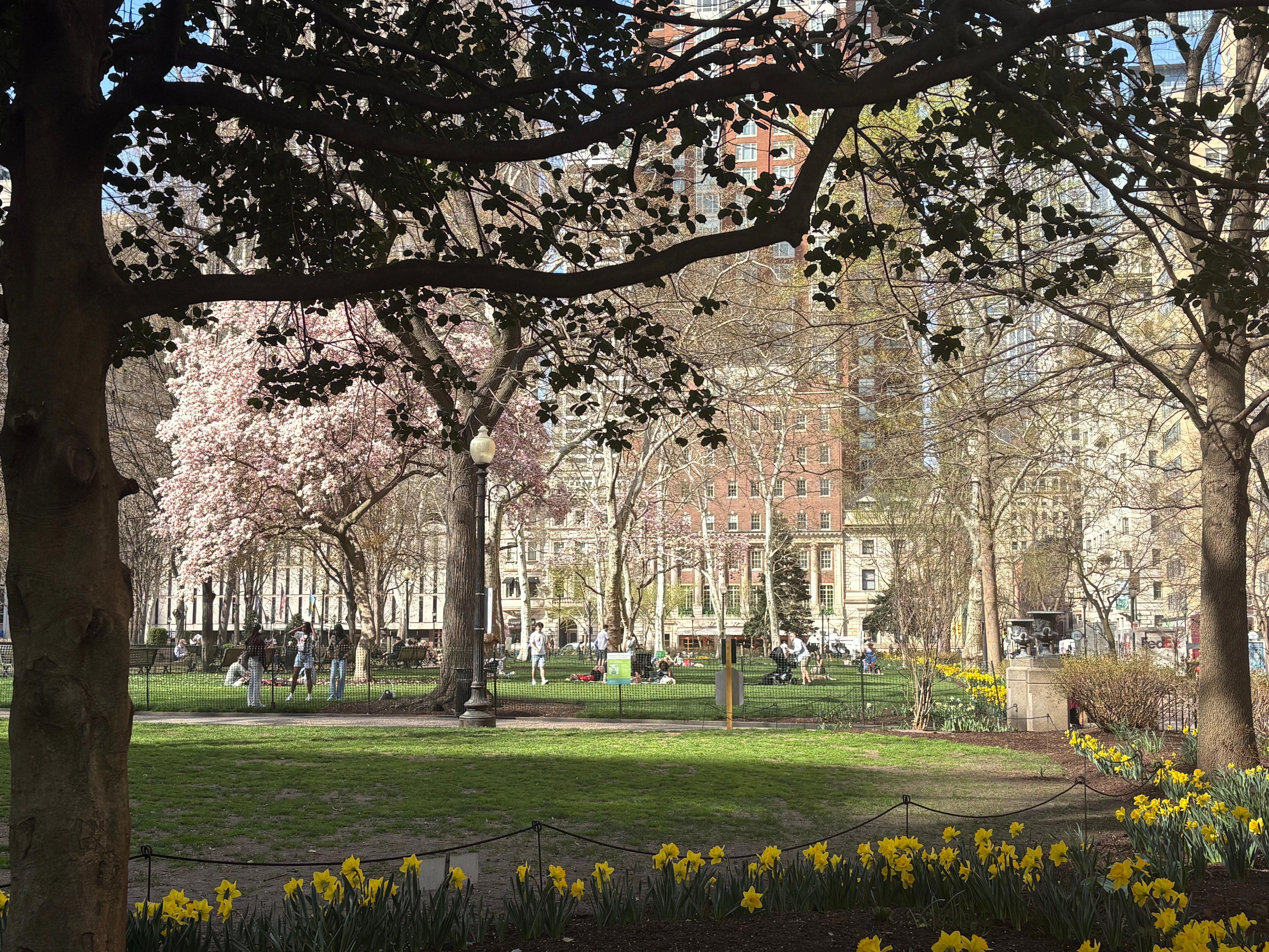 Philly enjoys warm weather, flowering parks this spring