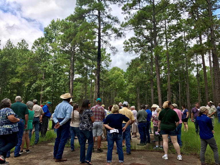 Pineville's Southern Research Station closing in USDA consolidation