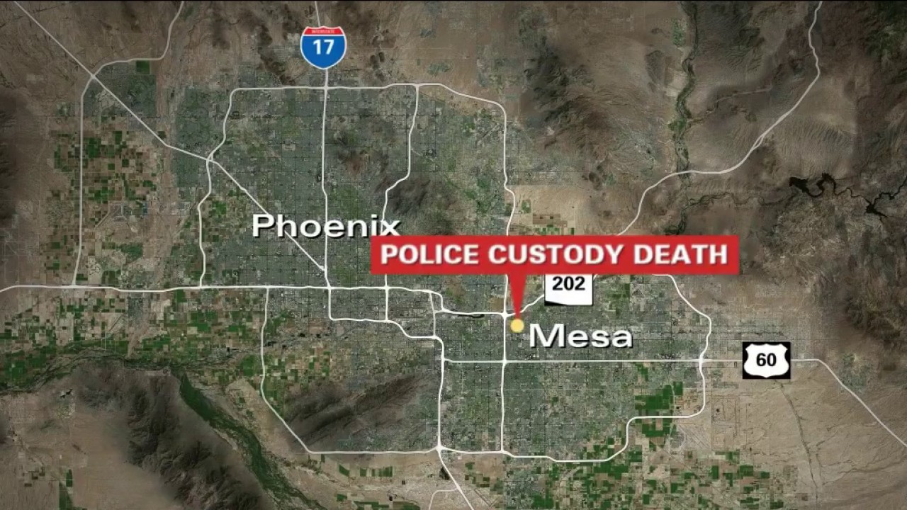 Man dies following struggle with Mesa police