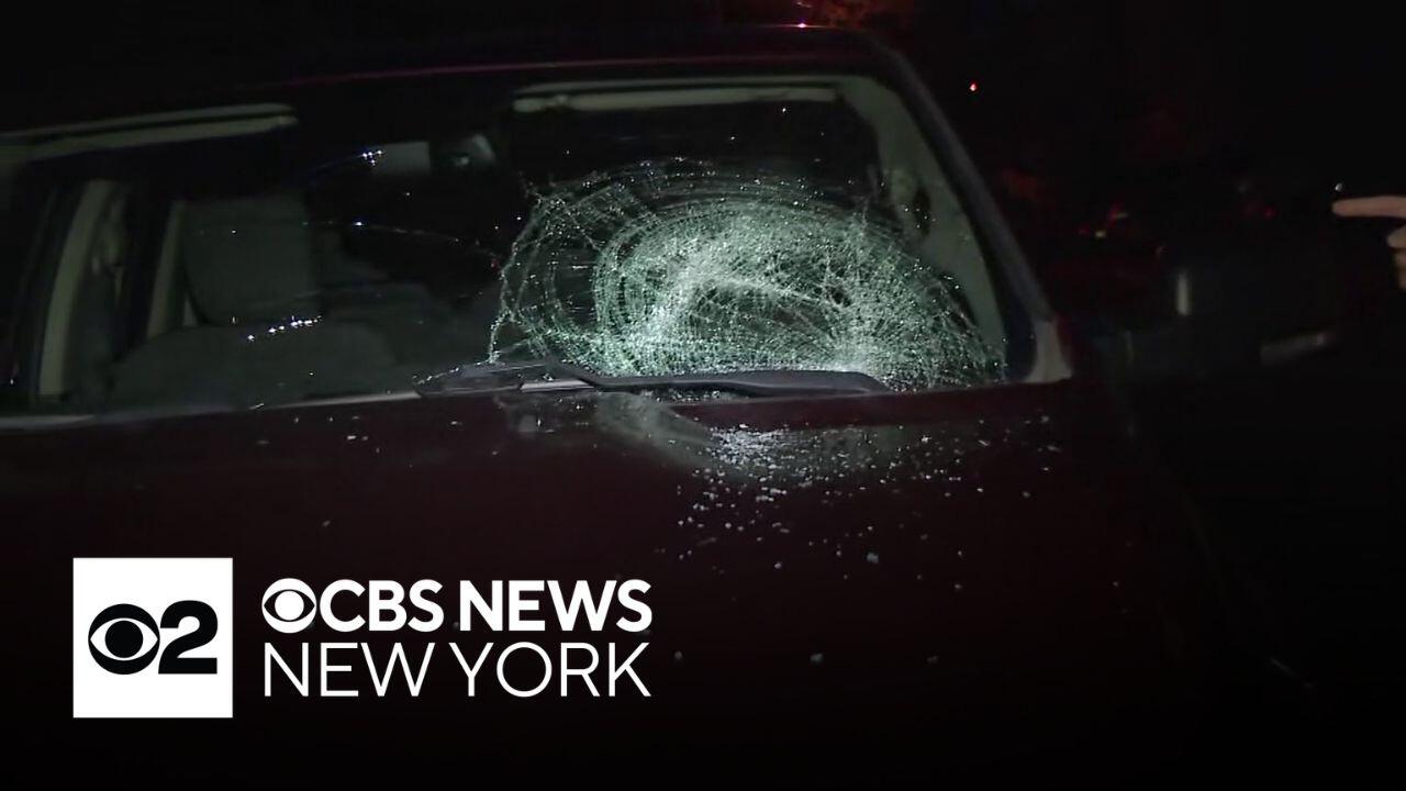 Police in NJ searching for vandal seen throwing bricks through windows ...