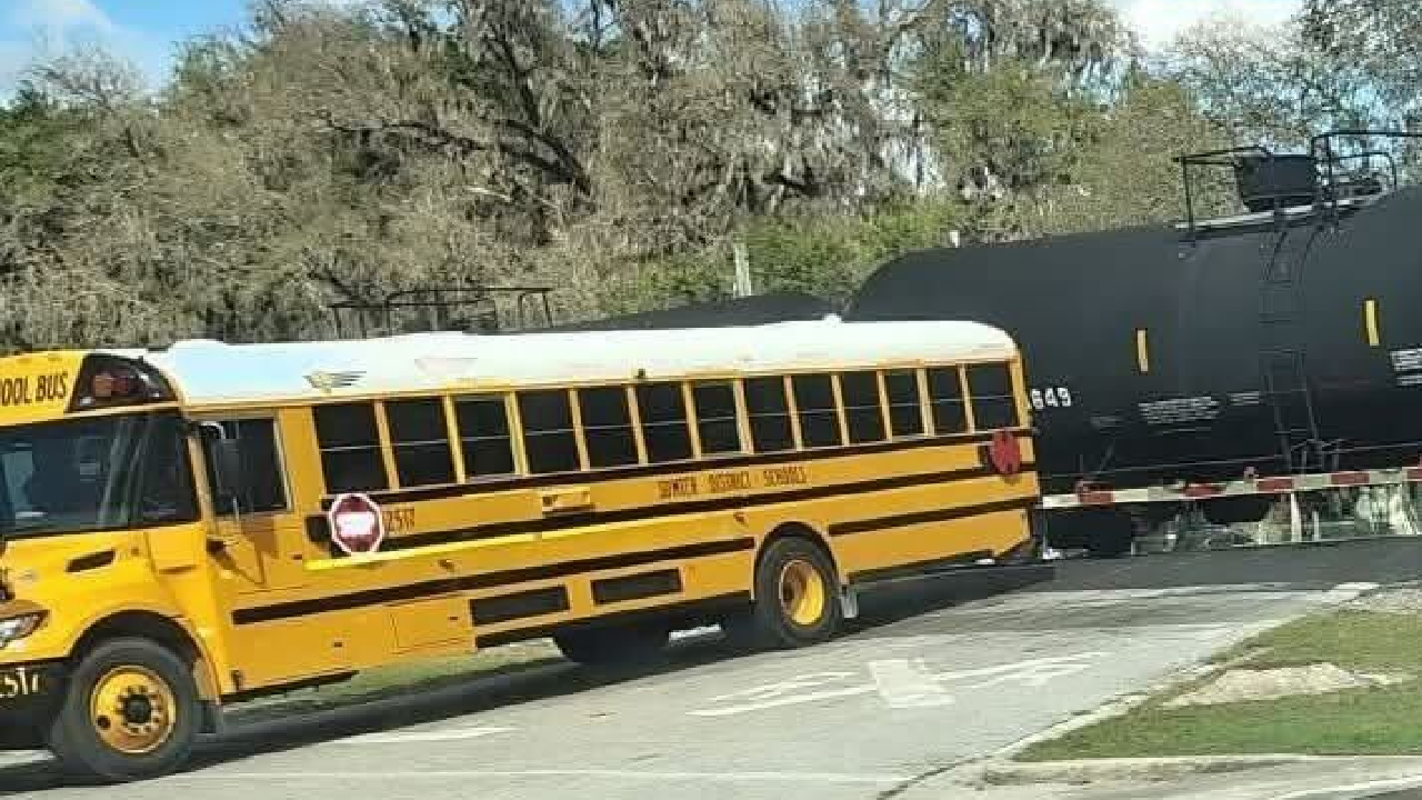Florida school bus driver arrested, fired after train crash with 29 ...