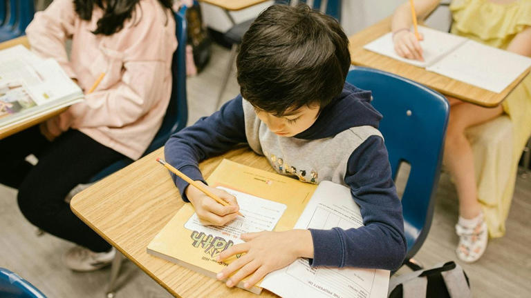 Concerns raised over UC Santa Cruz civics program content