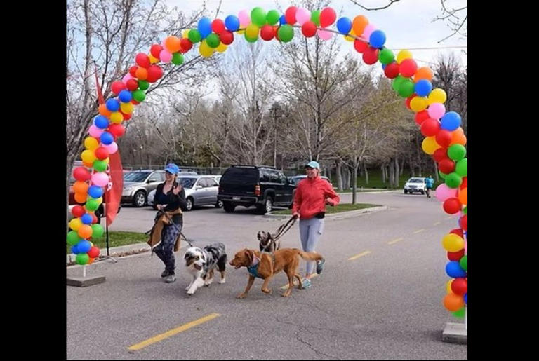 Run with the big dogs: Fundraiser to benefit Pocatello Animal Shelter ...