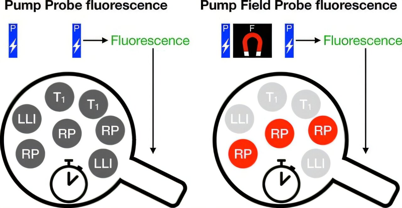 Fluorescence imaging technique reveals hidden magnetic chemistry in ...