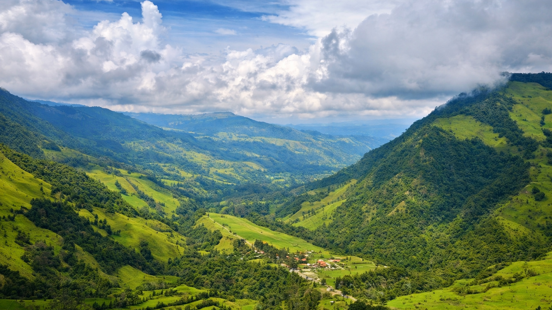 Cocora Valley with tall palm trees and green hills
