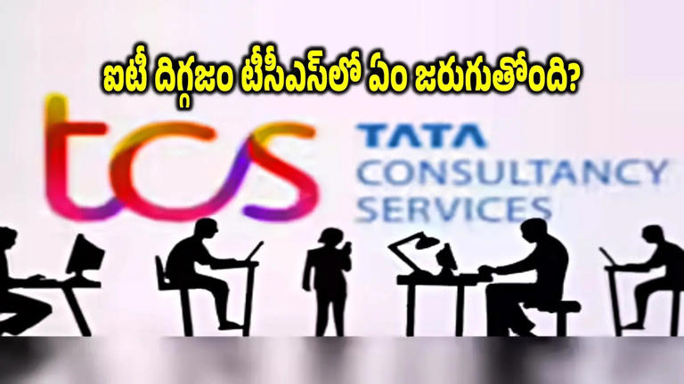 TCSలో నాయకత్వ సంక్షోభం.. 8 నెలల్లో 300 మంది టాప్ బాస్‌లు అవుట్.. ఏం ...