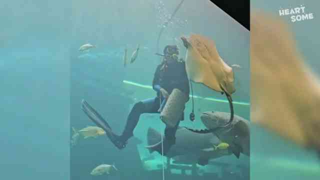 Funny pets, surprises & bloopers: Fish, dogs, pranks & more